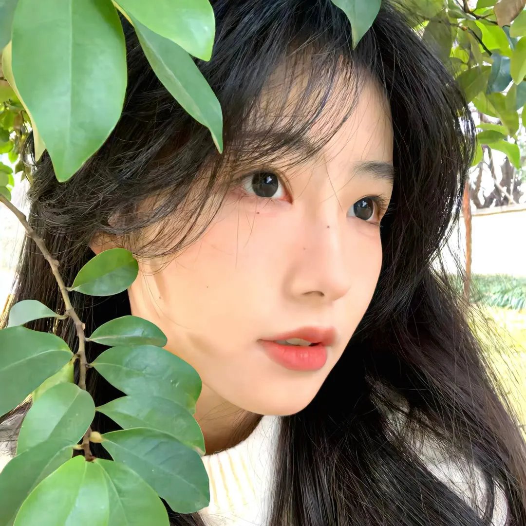 娜迦项链封面