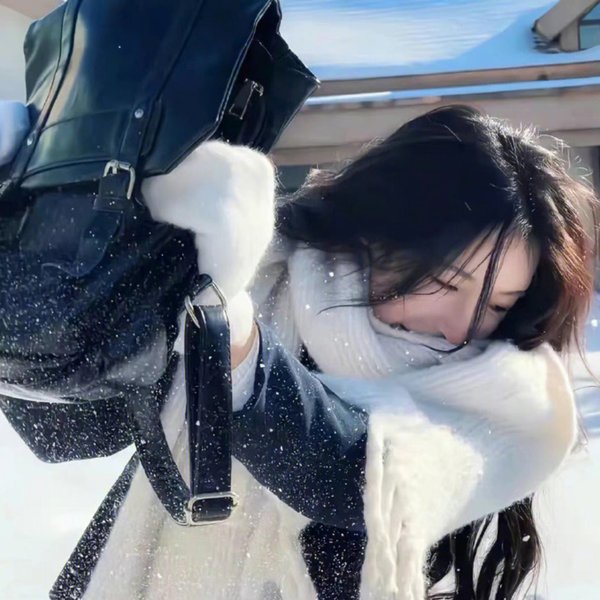 女导与强盗封面